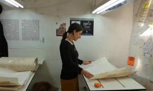 Choosing Parchment